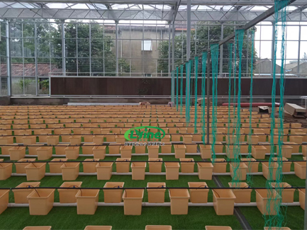 江蘇研學溫室項目施工完成！九月迪拜垂直農業展再啟程！